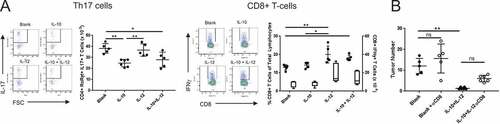 Figure 3. Distinct immunological effects of IL-10 and IL-12 on T-cell subsets are partially responsible for the antitumor synergy. (A) Effect of orally administered IL-10 and IL-12 on Th17 and CD8 + T cells. APCmin/+/B fragilis mice were treated with oral particle-based therapy (blank, IL-10, IL-12, or a mixture of IL-10 and IL-12 particles) as in Figure 1. Mice were euthanized and lymphocytes were isolated from mesenteric lymph nodes. CD4+ RORγt+ cells were gated on and analyzed for IL-17 production (Th17), and CD8 + T cells were analyzed for IFNγ production (CD8 + T-cells) by FACS. Cell numbers shown are per MLN. For CD8 + T-cell panel: filled-in circles = % of total lymphocytes; box plot = number of CD8+ IFNγ+ cells. Boxes have lines at the median plus lower and upper quartiles, with whiskers extending to show the remaining data. Error bars = SD, n = 5 per group. (B) Effect of CD8 + T cell depletion on tumor burden. Tumor-bearing APCmin/+ mice were treated as in Figure 2 in the absence or presence of anti-CD8α monoclonal antibody administration and assessed for tumor burden. Error bars = SD, n = 5–6 per group. Significance: *, ** denote p < 0.05, 0.01, respectively