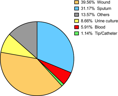 Figure 2 Distribution of P. aeruginosa isolates according to sample origin over the 11-year study duration.