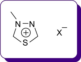 Figure 3 Chemical structure of the mesoionic salt derivatives formed by 1,3,4-thiadiazole compounds.