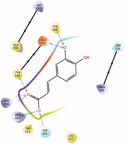 Figure 16. Binding interactions of caffeic acid in Sudlow site I of BSA.