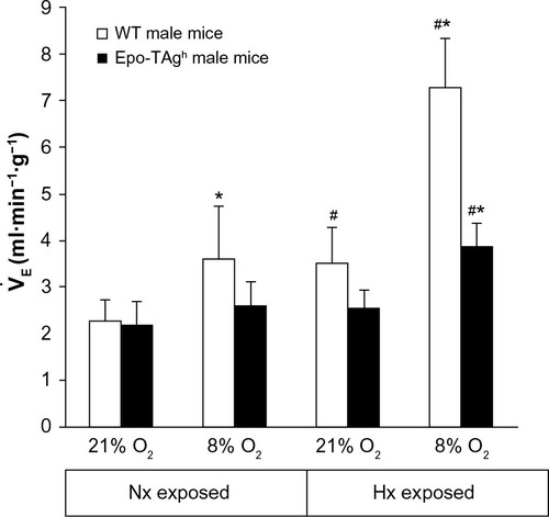 Figure 2 Ventilatory response to hypoxia in Epo-TAgh mice.