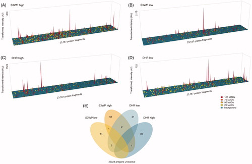 Figure 5. IgG reactivity towards a high density human protein array for visit 1 samples for the four subjects with the highest (A and C) and lowest (B and D) number of reactivities in the targeted array. (E) These four individuals were identified to display approximately similar numbers of reactivities on the high density array when applying a stringent cut-off for reactivity.