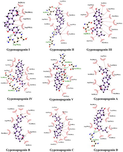 Figure 5. Docking pose of compounds from G. pentaphyllum with PTP1B target.