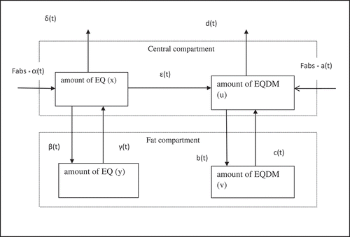 Figure 1. A serial two-compartment modelling scheme to assess the transfer of dietary ethoxyquin (EQ) and transformation into the metabolite ethoxyquin dimer EQDM to the fillet accumulation in Atlantic salmon fed with EQ. The whole fish can be divided into a central- and fat compartment. The central compartment can be divided into the muscle fibre fraction of the fillet and other non-fat organs such as liver, kidney, gills etc. The fat compartment in which EQ and EQDM will accumulate can be divided into a fillet part and fat in other organs such abdominal fat. The parameters x and y are the amounts of EQ in the central and fat compartment, respectively, while u and v indicates the amounts of EQDM in these compartments, respectively. The entities α(t) and a(t) are the intake rates of EQ and EQDM, respectively, Fabs is the fraction absorbed parameter of EQ and EQDM, β (t) and b(t) are the transport rates of EQ and EQDM from the central to the fat compartment, respectively, and γ (t) and c (t) are the reversed transport rates from the fat compartment to the central compartment. ε (t) is the metabolism rate of the formation of EQ into EQDM. The entities δ (t) and d (t) are the excretion rates of EQ and EQDM out of the central compartment, respectively.