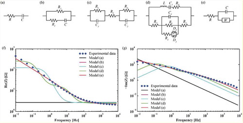 Figure 13. Equivalent circuit models of IPMC electrical dynamics and comparison to experimentally measured impedance of an IPMC over a range of frequencies: (a) a resistor and capacitor in series, (b) a resistor and capacitor in series with a resistor added in parallel [Citation110], (c) two parallel arrangements of a resistor and a capacitor connected in series with a bulk resistor [Citation111], (d) model including eight components as well as nonlinear diodes [Citation112], (e) RC circuit with a Warburg impedance element [Citation109], (f) real part of the impedance of an IPMC compared to models, (g) imaginary part of the impedance of an IPMC compared to models. Figure adapted with permission from [Citation109].