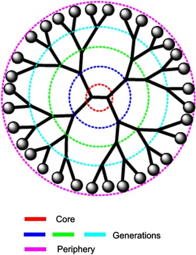 Figure 5 A schematic representation of a dendrimer showing the central core, the peripherical sites, and the consecutive generations.