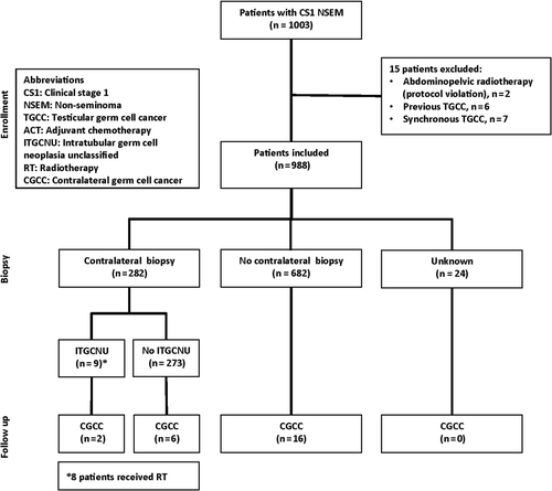 Figure 1. Consort diagram by biopsy status.