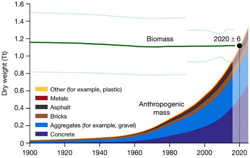 Figure 2. Biomass and anthropogenic mass estimates since the beginning of the twentieth century on a dry-mass basis.Source: Elhacham et al. (Citation2020).