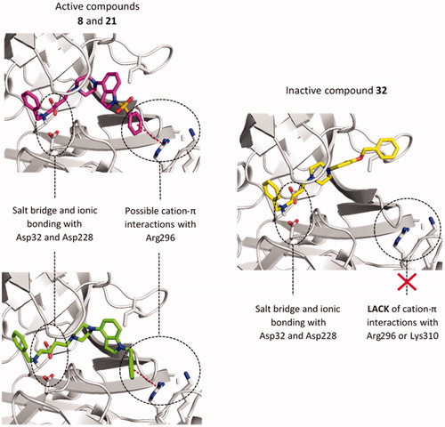 Figure 2. The predicted binding mode of compounds 8 (magenta), 21 (green), and 32 (yellow) in the binding site of BACE1. The detected cation-π interactions were marked as red lines connecting the centre of the aromatic ring and guanidine carbon of Arg296.