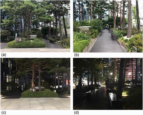 Figure 1. Site A views: (a, b), daytime view; (c, d), nighttime view.