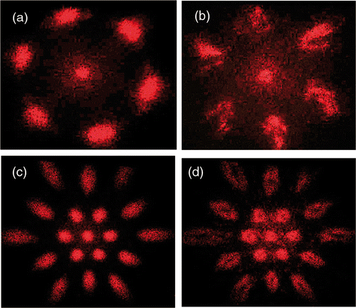 Figure 4. Diffraction pattern of: (a) Gaussian beam from PS 990 nm PhC, (b) OV from PS 990 nm PhC, (c) Gaussian beam from 1900 nm PhC and (d) OV from 1900 nm PhC.