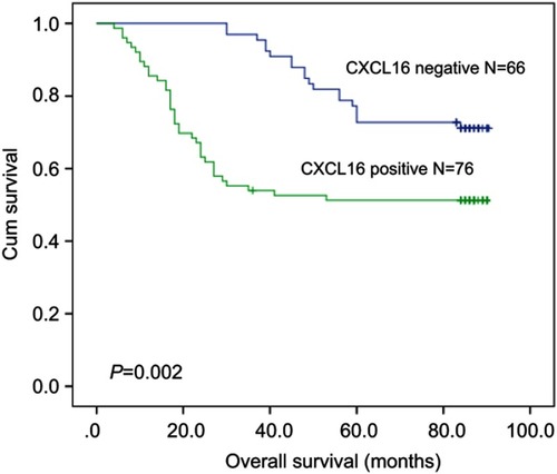 Figure 2 The 5-year overall survival rates of CXCL16-positive patients were significantly lower than those of CXCL16-negative patients (P=0.002).