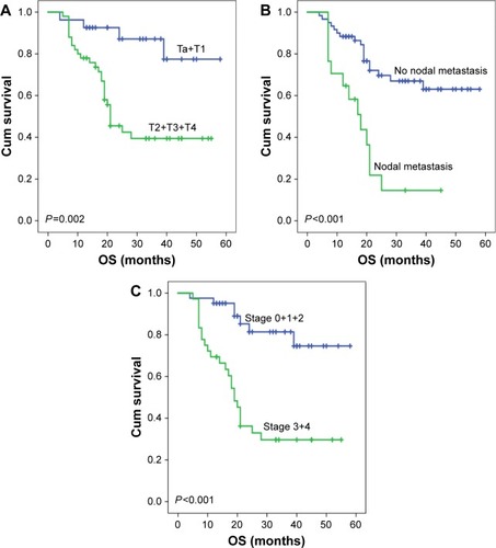 Figure 4 Kaplan–Meier curves of OS in bladder cancer based upon T stage, nodal metastasis, and TNM stage.