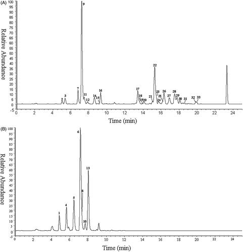 Figure 1. The high resolution extracted ion chromatography of isochlorogenic acid A metabolites (A) m/z 353.08780, 355.06706, 367.10345, 369.08272, 515.11950, 529.13515, 543.15079, 691.15159, 705.16724, 719.18289; (B) m/z 258.99180, 261.00745, 273.00744, 275.02310.