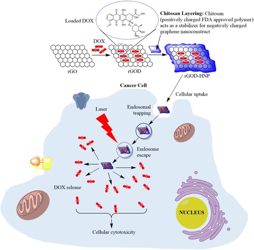 Figure 1 Schematic for the synthesis and application of rGOD-HNP.