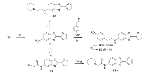 Scheme 4. Reagents and conditions: (a) hydrazine hydrate, Pd/C (10%), EtOH, 81%; (b) 1-(benzyloxy)-4-(2-bromoethyl)benzene, K2CO3, DMF, 70 °C, 15%; (c) H2, Pd/C (10%), MeOH, 48%; (d) N-chloroethylpiperidine, K2CO3, DMF, 70 °C, 8%; (e) bromoacetylbromide, NEt3, DCM, 75%; (f) for F1–3, secondary amine, K2CO3, acetone, 48–90%; (g) for F4, i) boc-piperazine, K2CO3, acetone, ii) 6 M HCl, MeOH, 72%.