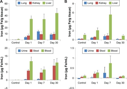 Figure 9 Iron concentration in tissues and excrement from rats.Notes: After intravenous injection of (A) MPS-IONPs and (B) Resovist (ferucarbotran) (20 mg Fe/kg). MPS-IONPs accumulated in the tissues and blood circulation in higher concentrations for a longer time than ferucarbotran.Abbreviations: MPS, 3-methacryloxypropyltrimethoxysilane; IONPs, iron oxide nanoparticles.