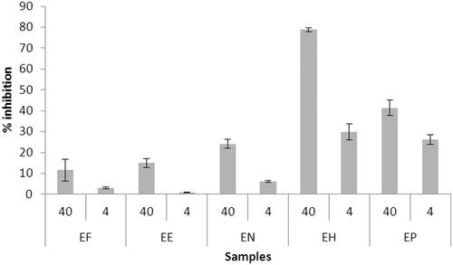 Figure 1. Inhibitory effect (%) of Eryngium floribundum (EF), Eryngium eriophorum (EE), Eryngium nudicaule (EN), Eryngium horridum (EH), and Eryngium pandanifolium (EP) on monoamine oxidase B activity. The samples were evaluated at 40 and 4 μg mL−1. Error bars represent standard deviation (n = 3).