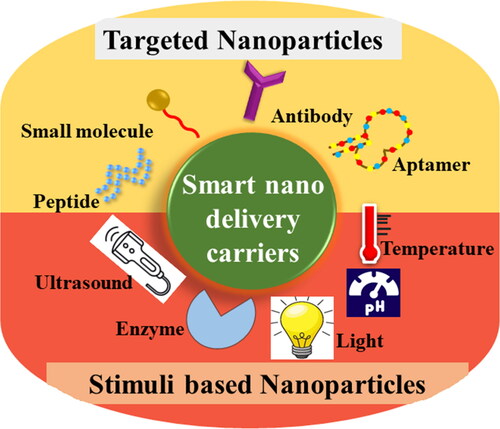 Figure 4. Schematic representation of smart nano delivery carriers.