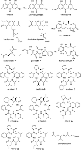 Figure 1. Secondary metabolites from Hamigera sp.