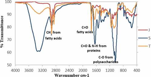 Figure 1. Mid-infrared spectra for the 4000–400 cm−1 spectral region recorded on milk samples of Jamnapari (J), Saanen(S) and Toggenburg(T) breeds