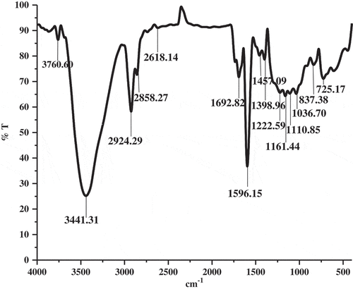 Figure 2. FT-IR spectrum of SWE fraction.