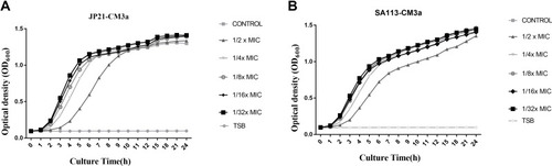 Figure 2 Growth assay for S. aureus strains treated with subinhibitory concentrations of CM3a. (A and B) Strains JP21 (A) and SA113 (B) were cultured with 4, 2, 1, 0.5, and 0.25 μg/mL CM3a or without CM3a for 24 h.