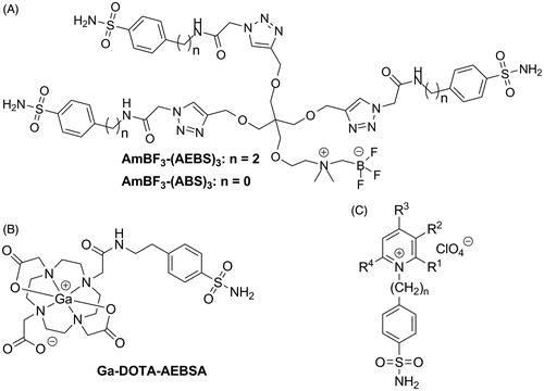 Figure 1. Reported sulfonamide derivatives that are CA-IX selective agents. (A) Trimeric AmBF3-(AEBS)3 and AmBF3-(ABS)3, (B) Ga-DOTA-AEBSA, and (C) cationic sulfonamide derivatives.
