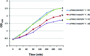 Figure 3. Growth of E. coli wild-type cells with an empty pTYB21 vector and recombinant cells with pTYB21/sll0170 in LB medium exposed to temperature shock. Growth curves are shown for two cultures. At time zero, one culture was maintained at 37 °C ((a) blue and (b) red line), while a second culture was transferred to 45 °C and then returned to 37 °C after 15 min ((c) green and (d) purple line). The culture density at time zero was OD600 = 0.4.