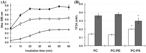 Figure 5. Effects of phospholipid composition on the interaction between TF2A and bile salt-PC micelles. (A) Changes in turbidity of the micelle solution during incubation with 0.5 mM TF2A at 37 °C. Data for PC micelles (open circles), PC:PE (closed circles), and PC:PS (open triangles) are means ± SD (n = 3). (B) Distribution of TF2A in the Sup (open bars) and Ppt (closed bars) fractions after a 60-min incubation. Data are means ± SD (n = 3). *Significantly different from PC (p < 0.05).
