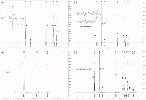 Figure 2. 1H-NMR spectra of PET-PCL, MePEG-PET-PCL, peptide, and MePEG-peptide-PET-PCL.