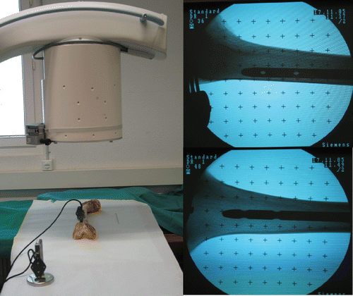 Figure 7. Experimental setup for image acquisition (left), and examples of acquired images (right). [Color version available online.]