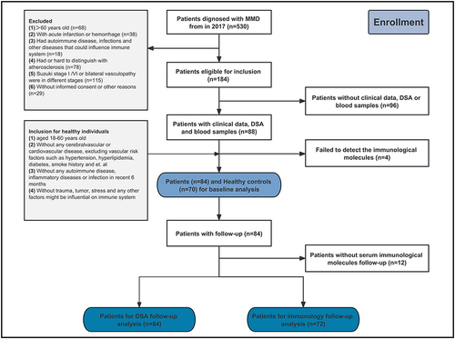 Figure 1 Flowchart showing patient selection process.