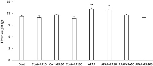 Figure 3. Effects of rosmarinic acid (RA) administration on the liver weight in control (Cont), RA 10 mg/kg-treated control (Cont + RA10), RA 50 mg/kg-treated control (Cont + RA50), RA 100 mg/kg-treated control (Cont + RA100), acetaminophen (APAP), RA 10 mg/kg-treated APAP (APAP + RA10), RA 50 mg/kg-treated APAP (APAP + RA50) and RA 100 mg/kg-treated APAP (APAP + RA100) groups (n = 7) at the end of experiment. The data are represented as mean ± S.E.M. *p < 0.05 and **p < 0.001 (as compared to control group).