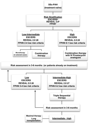 Figure 3 Treatment approach to pulmonary arterial hypertension in Systemic Sclerosis. aESC/ERS risk assessment is based on clinical signs of right heart failure, syncope, WHO functional class, 6MWT, CPET, NT-proBNP, Imaging (echocardiography, MRI) and cardiac hemodynamics. bREVEAL criteria: see table 4. cFPHN low risk criteria: WHO class I/II, 6MWT >440m, RAP <8, CI ≥2.5.