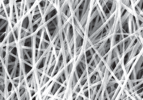 Figure 2. SEM image of plain Nylon nanofibers.