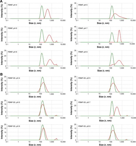 Figure 3 Change in size distribution of PBNPs (A), PBNP-S5 (B) and PBNP-S10 (C) before and after 3-month storage measured by DLS (green lines: measured in 2–3 days after synthesis and dispersed in pure water and red lines: after storage and dispersed in various buffer).Abbreviations: PBNPs, phenylboronic acid-rich nanoparticles; PBNP-S, sulfonate-modified phenylboronic acid-rich nanoparticles; PBNP-S5, PBNP-S at a weight ratio of 5%; PBNP-S10, PBNP-S at a weight ratio of 10%; DLS, dynamic light scattering.