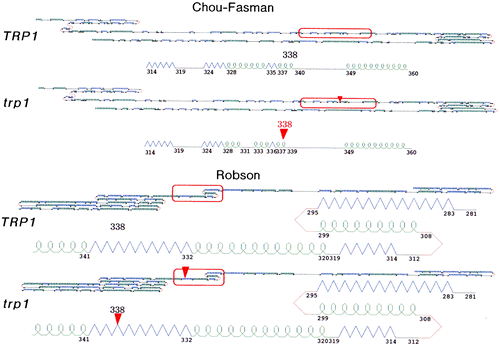 Fig. 7. Comparison of secondary structure of the TRP1 and trp1 proteins predicted by the Chou-Fasman and the Robson methods.