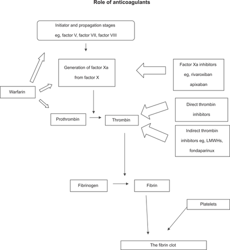 Figure 1 The coagulation system simplified.