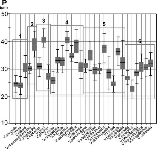 Figure 1. Graphic test for median comparisons of polar diameter (P) for all species studied. Ascription of taxa to subgenera is indicated by rectangles. 1. V. subg. Chamaedrys. 2. V. subg. Triangulicapsula. 3. V. subg. Pellidosperma. 4. V. subg. Pocilla. 5. V. subg. Cochlidiosperma. 6. V. subg. Beccabunga.
