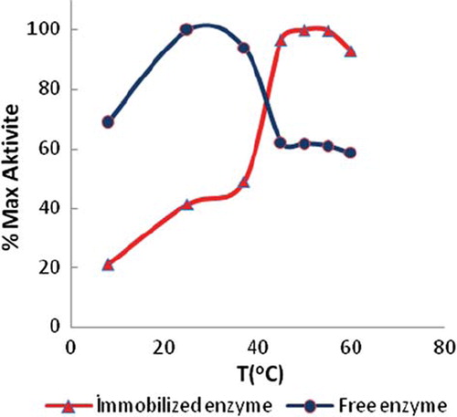 Figure 4. Effect of temperature on enzyme activity.