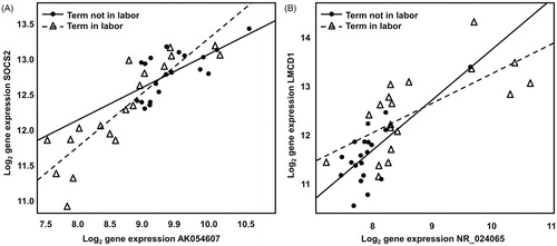 Figure 1. Correlation and co-differential expression of mRNA–lncRNA sense–antisense pairs based on microarray data. (A) Log (base 2) microarray expression of SOCS2 gene (probed by Illumina® probe ILMN_2131861) are plotted against the expression of lncRNA AK054607 (probed by Illumina® probe ILMN_1699188). (B) Log (base 2) microarray expression of LMCD1 gene (probed by Illumina® probe ILMN_1754969) are plotted against the expression of lncRNA NR_024065 (probed by Illumina® probe ILMN_2052135). In both panels, samples from the term not in labor group are shown as filled circles while samples from the term in labor group are represented by empty triangles. A linear fit through the expression data is also shown (term not in labor: solid line; term in labor: interrupted line).