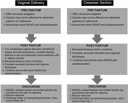 Figure 2 Practical approach for managing pain in the opioid abstinent parturient during vaginal delivery (left) and cesarean section (right).