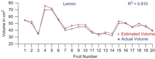 FIGURE 4(c) Comparison of estimated and actual volume of lemons.
