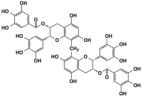 Fig. 1. Structure of OFA.