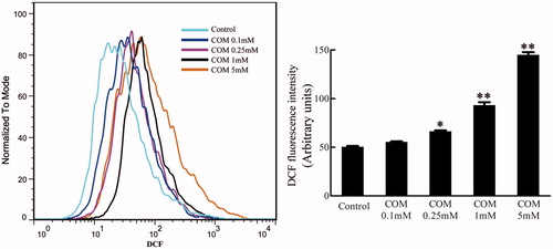 Figure 2. ROS generation stimulated by COM crystals. MDCK cells were treated with various doses of COM crystals for 48 h, and DCFH-DA assay using flow cytometry was performed to determine intracellular ROS. Illustrated is a representative of three separate experiments and the quantifications of data were represented as mean ± SD on the right panel. **p < .01 versus control; *p < .05 versus control.