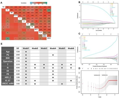 Figure 2 Screening of variables and model building, and correlation between independent variables included in the study (A). Lasso regression analysis shows that with the increase of log (λ), the regression coefficient gradually decreased and tended to zero, and the model kept converging (B). With the increase of interpretation deviation, the retrospective coefficient also gradually increased (C). When lambda values were lasso_1se and lasso_min, the variables included in the model were reduced to two, namely Ki-67 and UBE2C_mRNA (D), showing the VIF scores of each independent variable and the independent variables included in the model establishment (E). (*P < 0.05; ** p < 0.01).