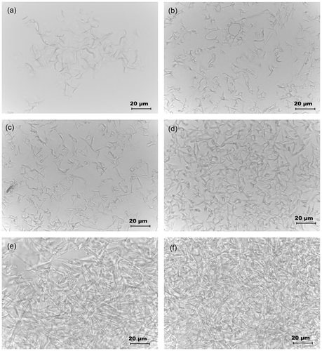 Figure 4. Micrographs of SM/GO mixture at the SM concentration of: (a) 5 % (w/w), (b) 10% (w/w), (c) 15% (w/w), (d) 20% (w/w), (e) 23% (w/w) and (f) 25% (w/w).