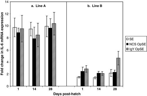 Figure 1.  Quantitation of IL-6 mRNA expression in heterophils isolated from (1a) line A chickens and (1b) line B chickens on days 1, 14, and 28 post-hatch. Data are expressed as the fold change in IL-6 mRNA levels when treated samples (S. enteritidis [SE], NCS-OpSE, and IgY-OpSE) were compared with control heterophils treated with RPMI. Error bars show the standard error of the mean from triplicate experiments.