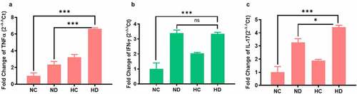 Figure 4. The gene expression changes of inflammatory cytokines in the colon tissue collected from four tested groups (5 mice /group) showed increased inflammatory cytokines in the colon tissue. (a) The expression changes of TNF-α in the four tested groups. (b) The expression changes of INF-γ in the four tested groups. (c) The expression changes of IL-17 in the four tested groups. **P < 0.01 ***P < 0.001